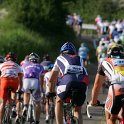 NOVECOLLI_2009_21_46716